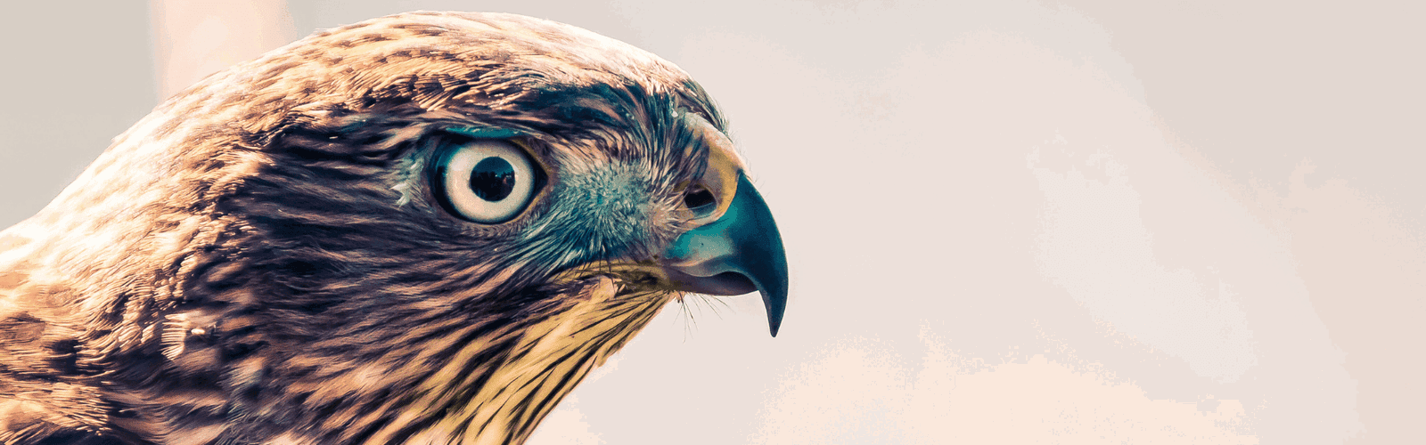 Focus In Bursts: The Science Of Productive Sprints