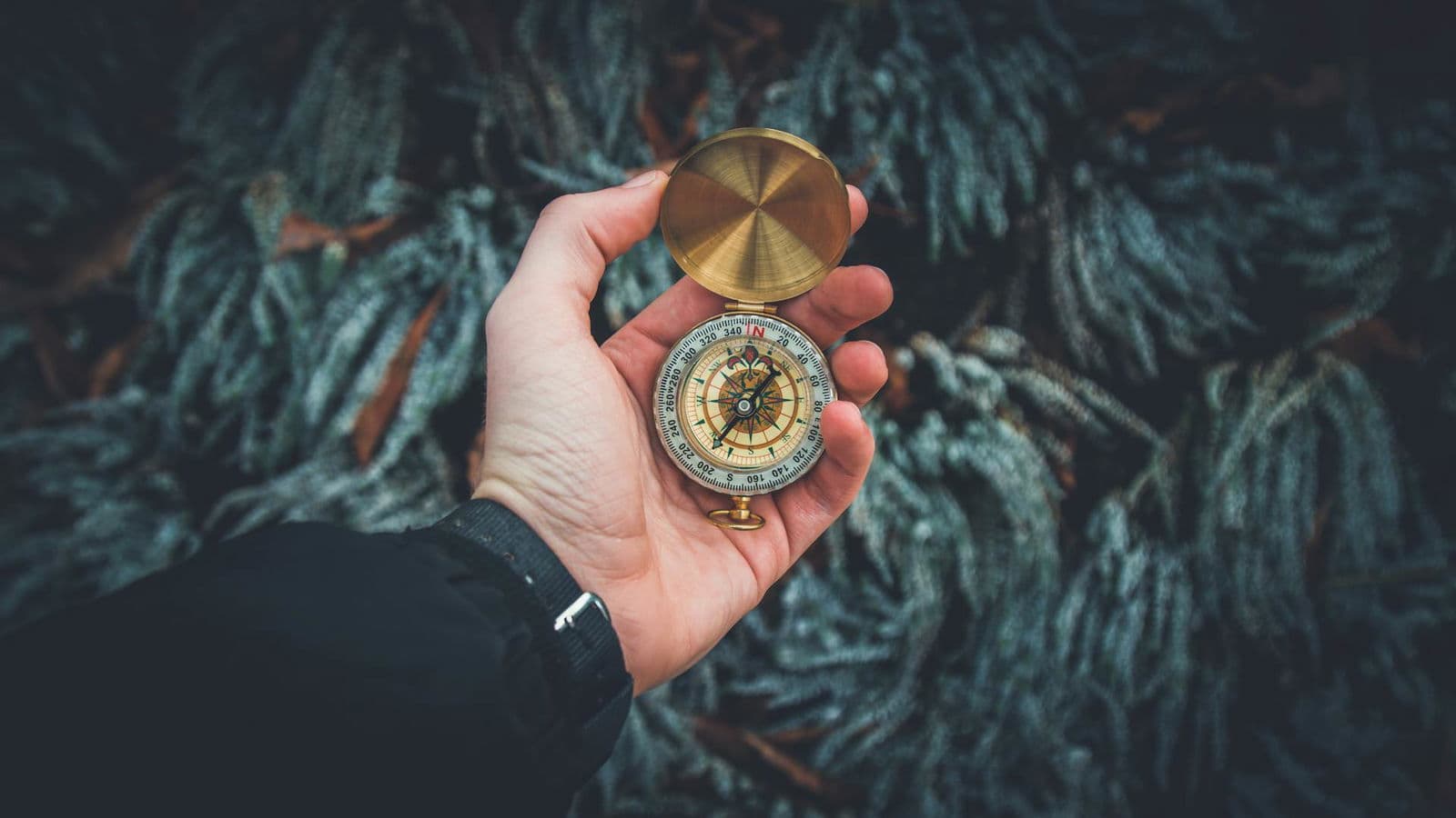 The Moral Compass Effect: Staying Aligned Without External Pressure