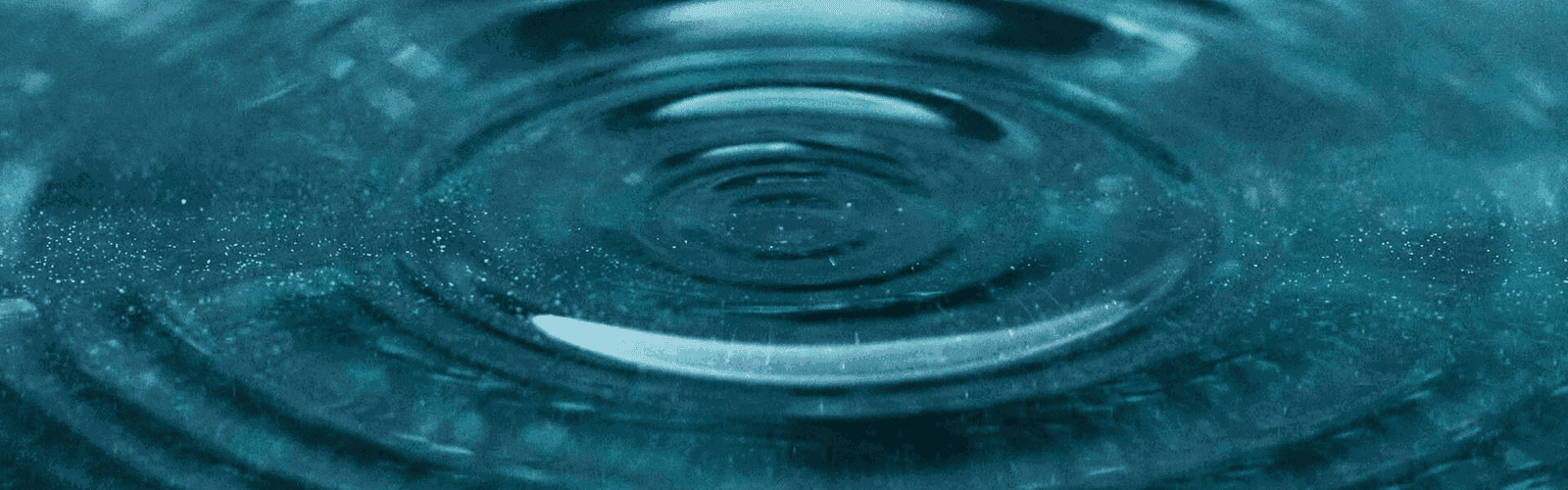 The Ripple Effect: Small Acts That Define Character